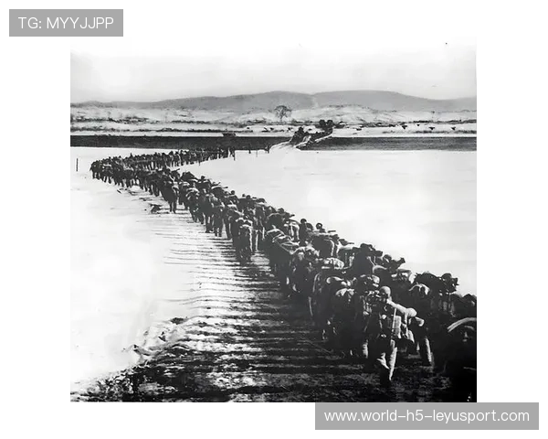 朝鲜集束弹命中军事阵地,朝鲜集安 朝鲜集束弹命中军事阵地,朝鲜集安