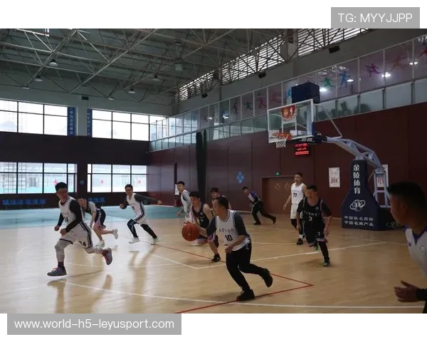 篮球在中国社会治理体系中的潜在功能探索,篮球运动的社会化功能 篮球在中国社会治理体系中的潜在功能探索,篮球运动的社会化功能